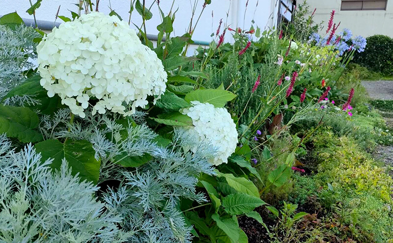 あわじオープンガーデン写真03