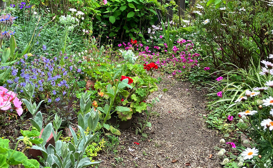 あわじオープンガーデン写真01